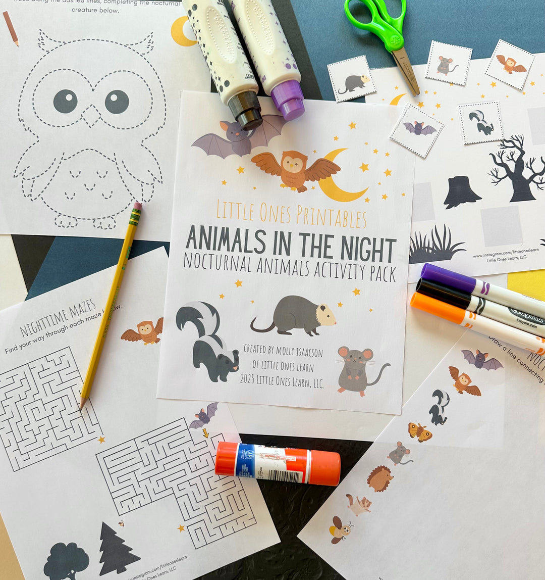 LOL Animals in the Night: Nocturnal Animals Activity Pack
